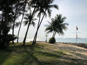 Adi playing at East Coast Park on a sunny morning