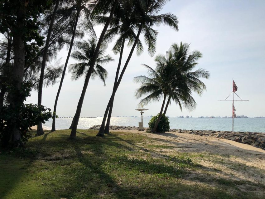 Adi playing at East Coast Park on a sunny morning