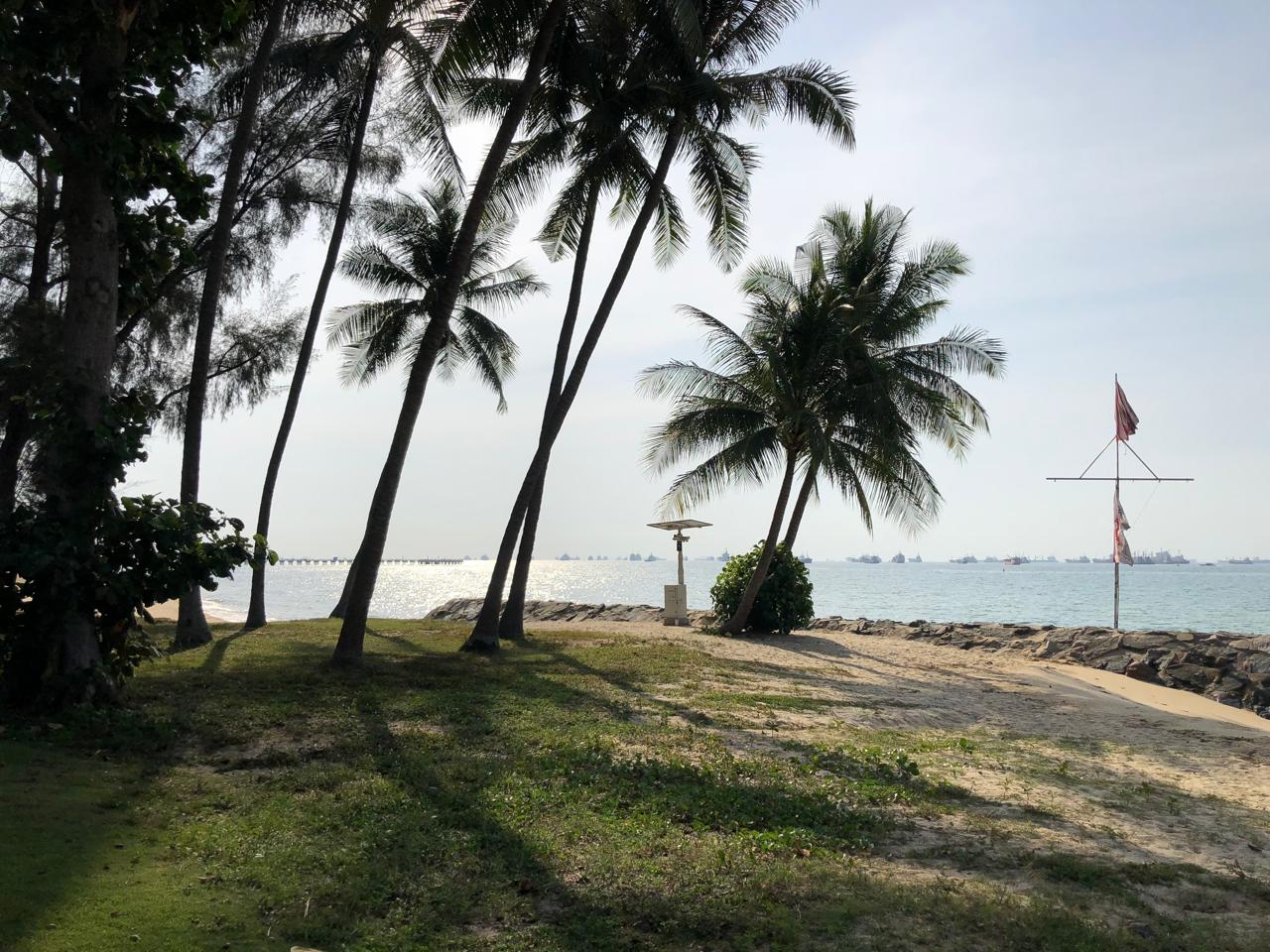 Adi playing at East Coast Park on a sunny morning